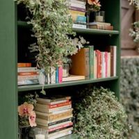 ÚLTIMO PASSO para ganhar 2 mimos para o dia C! - 1