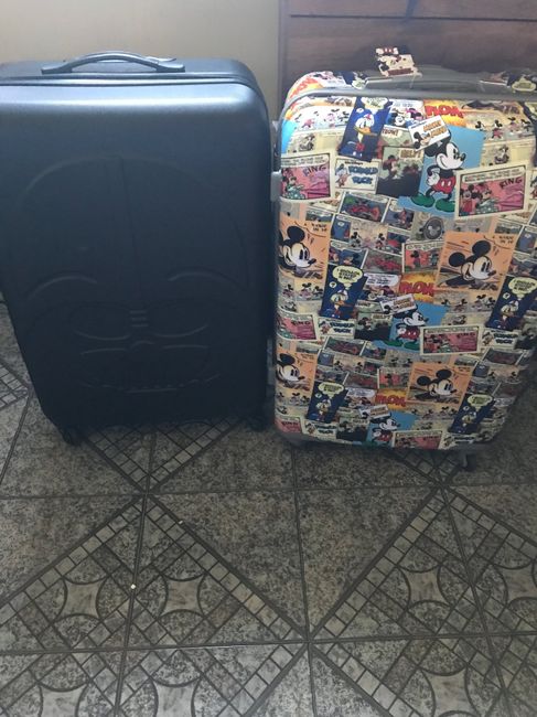  Minhas malas de viagem #vemver - 1