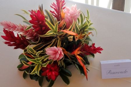 Flores exóticas