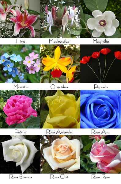 Escolha das flores