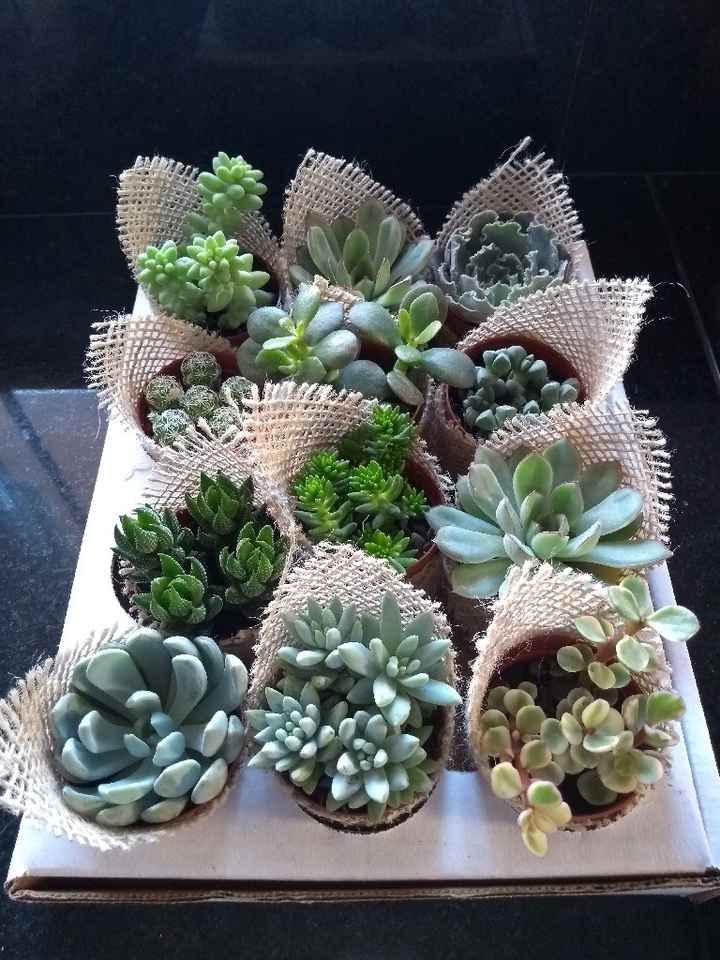 Suculentas de lembrançinhas! 🌱🌵 - 2