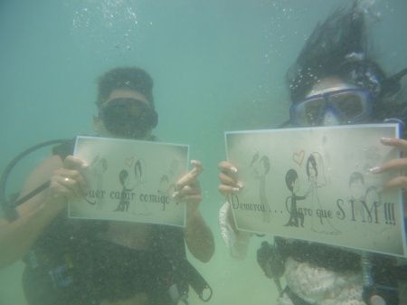 Assunto: lua de mel - 1