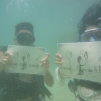 Assunto: lua de mel - 1