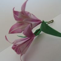 Lírios para decoração