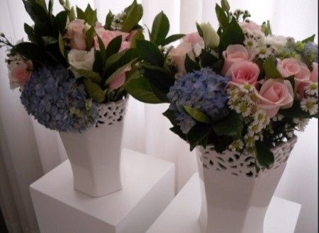 Hortênsias e mais hortênsias - 4