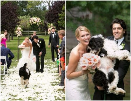 Pets no casamento