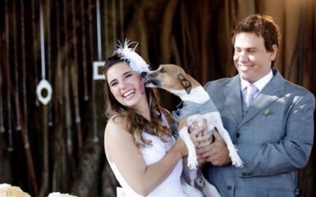 Pets no casamento