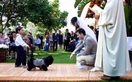 Pets no casamento