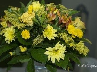 Flores