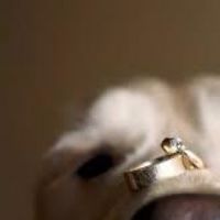 Pets no casamento
