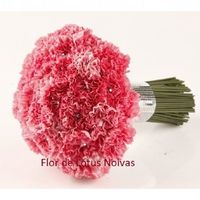 bouquet rosa de cravo