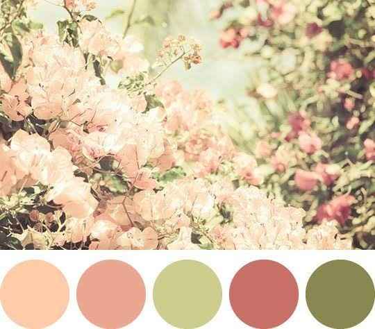Paleta de cores - 2