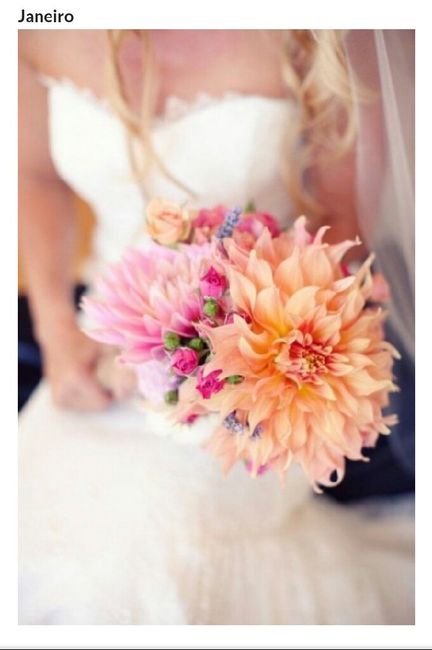 Meu casamento ideal em janeiro - 3