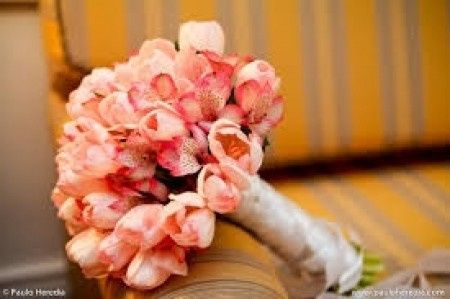 TULIPAS