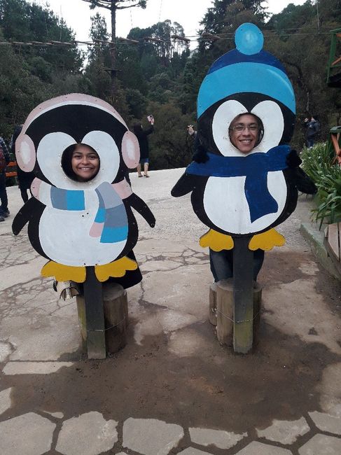Uma foto que descreva o casal. - 1