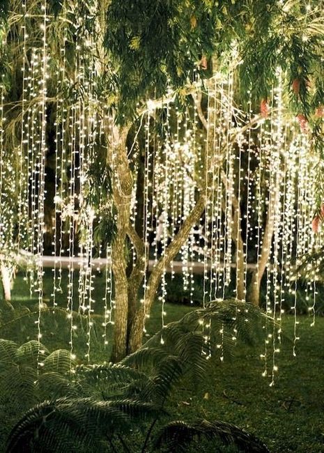 arvore iluminada