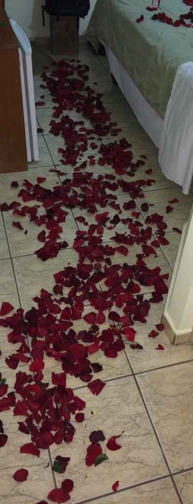 No chão ele espalhou rosas