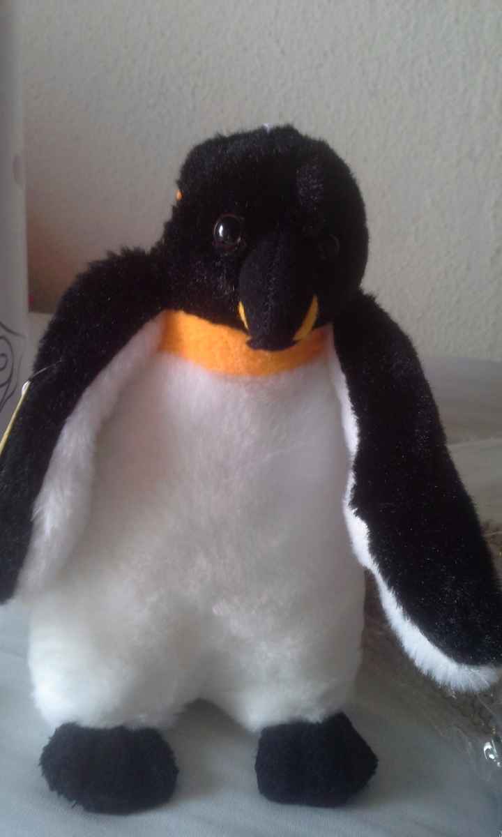 Meu pinguinzinho ( vou joga-lo como buque rsrs)