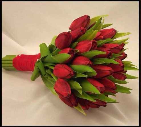 Tulipas