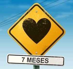 7 meses