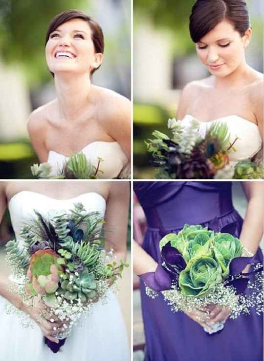 suculenta com flores escuras