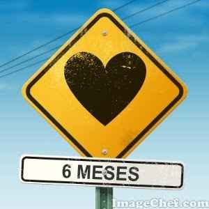 06 meses