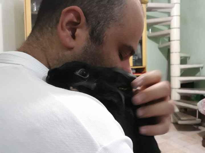 Dono de pet: você pensa em incluir seu amigão no dia C? 🐶🐱🐦 - 1