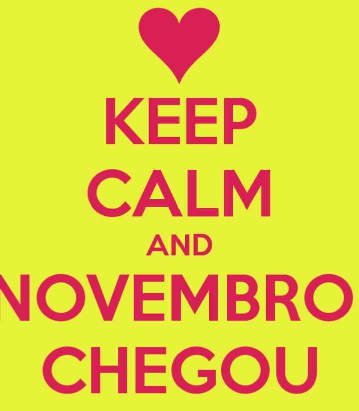 Novembro chegoouuu !!!!! - 5