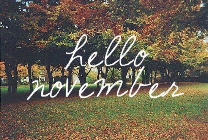 Novembro chegoouuu !!!!! - 2