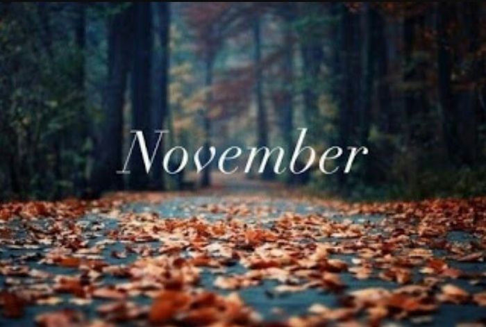 Novembro chegoouuu !!!!! - 3