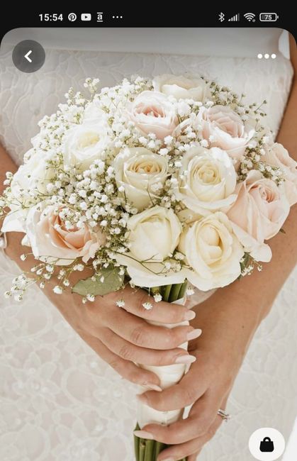 Quarta-feira de fotos 📷 16