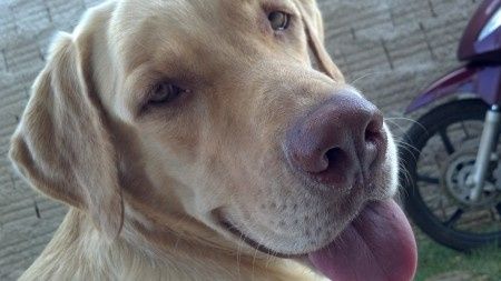 Jack :)