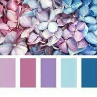 Minha paleta de cores - 1