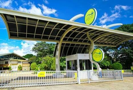 Lua de mel caldas novas - go  #indecisa - 2