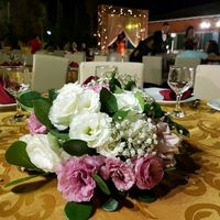 Casei♥♥♥♥♥ - 6