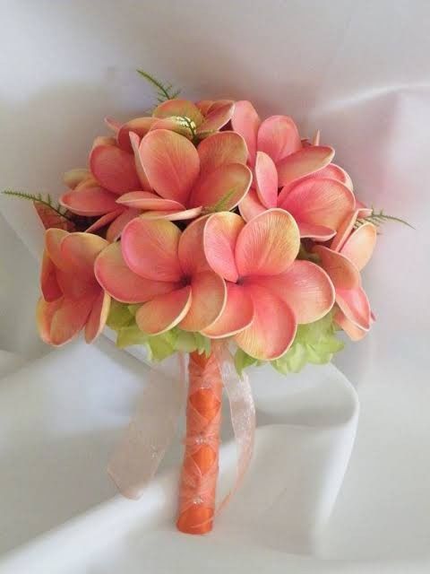 Flor... qual a Sua? 4