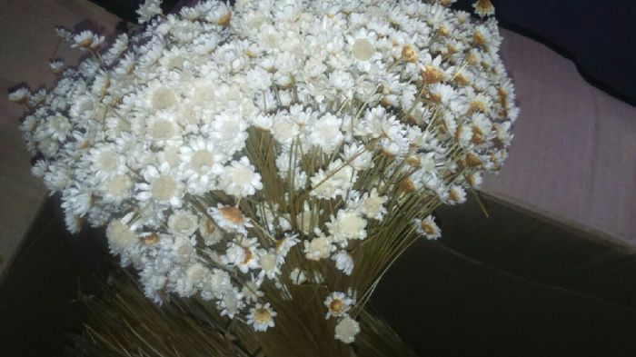 Flores artificiais. - 2