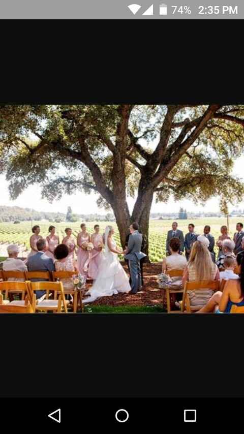 Casamento no sitio - 1