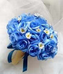 Rosas Azul fort