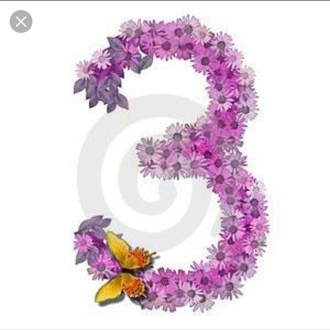 Faltam 3 meseeeeeees!!! - 3