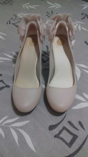 Saindo do conforto para melissa!!!! - 4