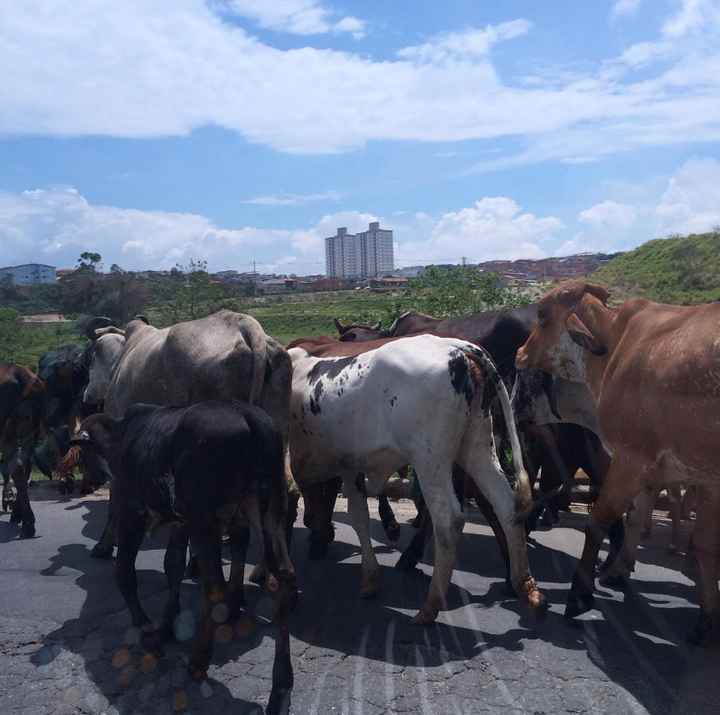 DESAFIO DE FOTOS: uma foto DIVERTIDA - 1º dia 📸💓👌 13