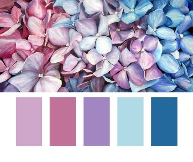 minha paleta de cores