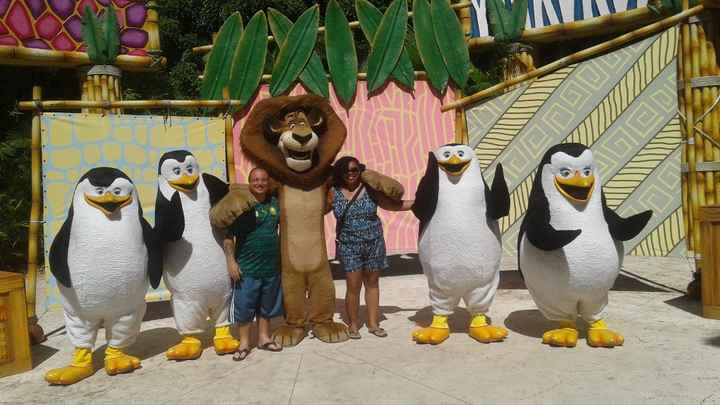 madagascar a turma