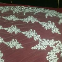 Meu véu chegou \o/.....\o/ - 1