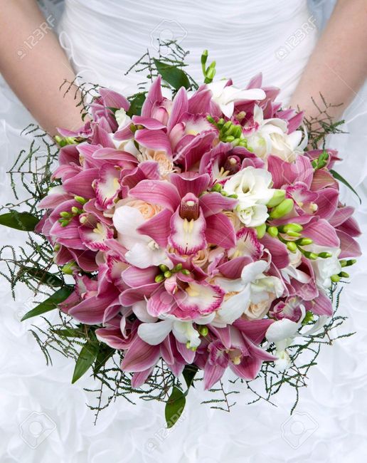 orquídeas 