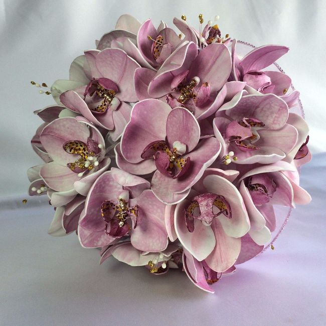 orquídeas 
