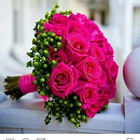 Flores! cores e mais cores! - 2