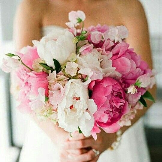 Flores! cores e mais cores! - 3