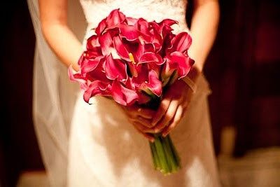 5 Callas Pink